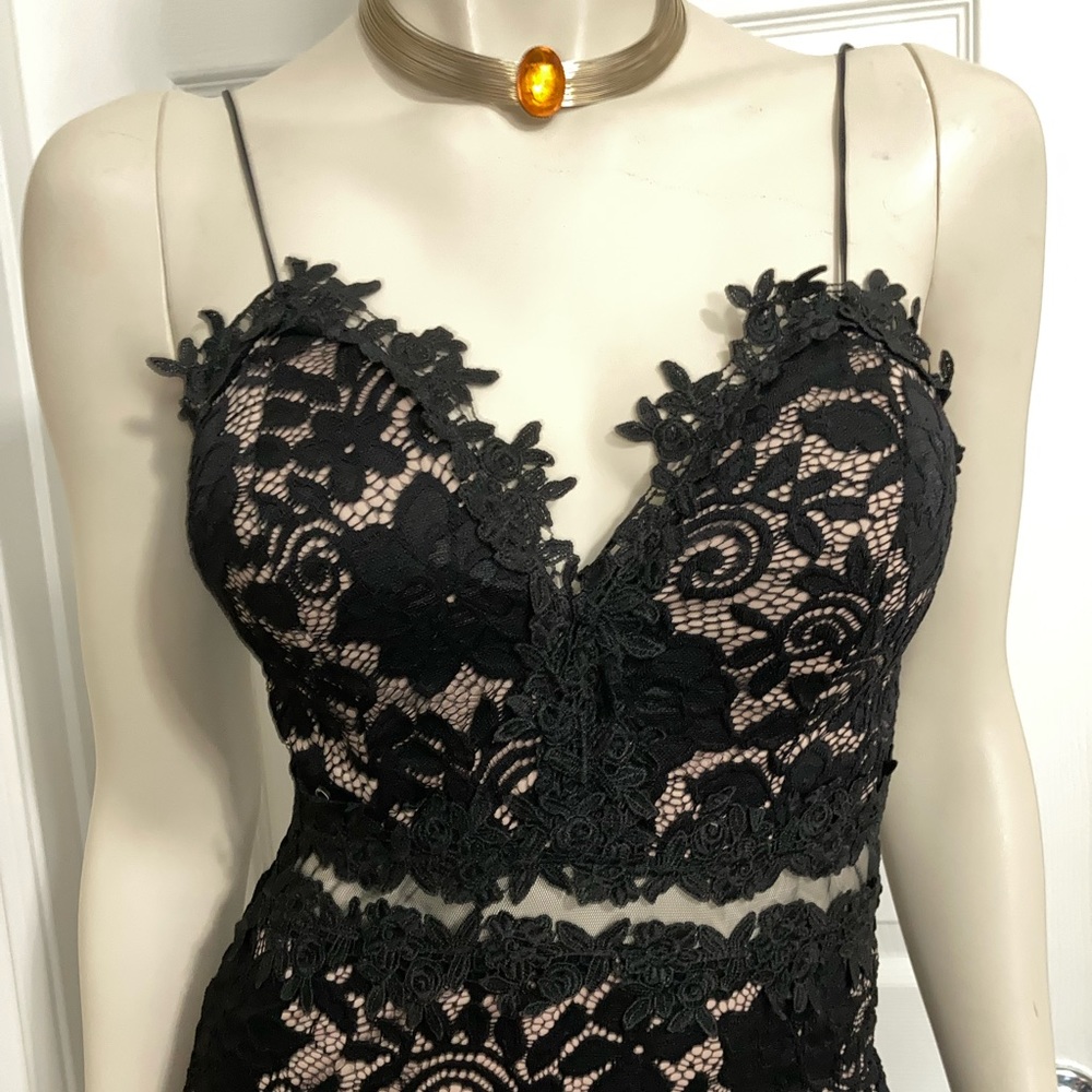 Olive Tree - image 3